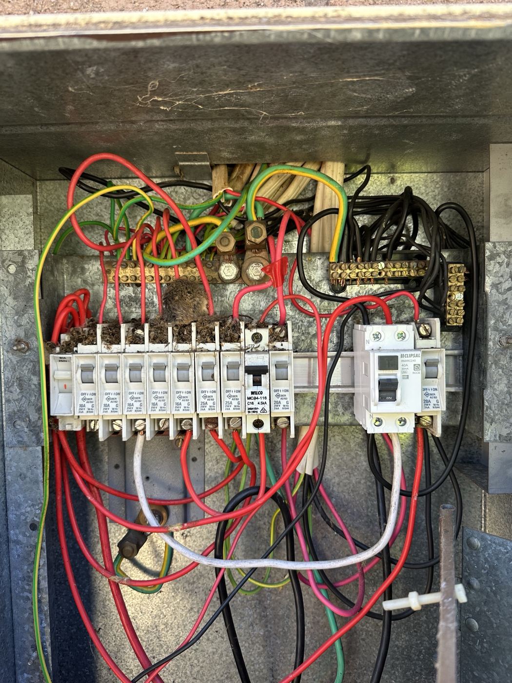 Old switchboard with ceramic fuses, tangled wiring and a mouse nest